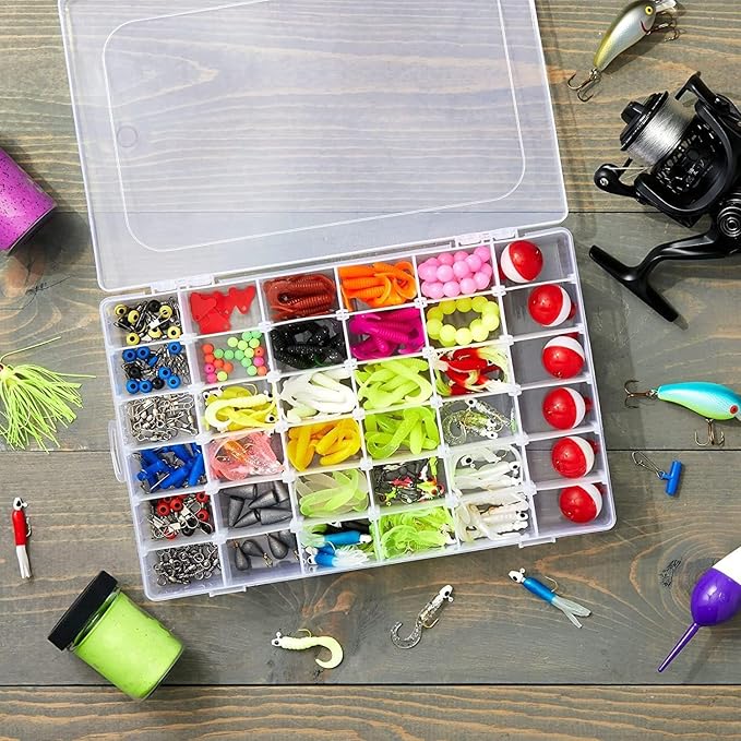 TransparEase 36-Compartment Jewelry Organizer with Adjustable Dividers